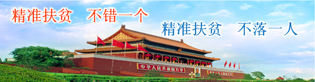 ǻ۾W(wng),ǻ۳,ǻ^(q),ʷؚ,r(nng),W(wng),W(wng)񻯹,ǻB(yng)